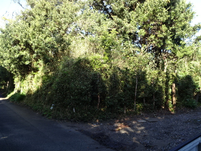 DSC06851.JPG