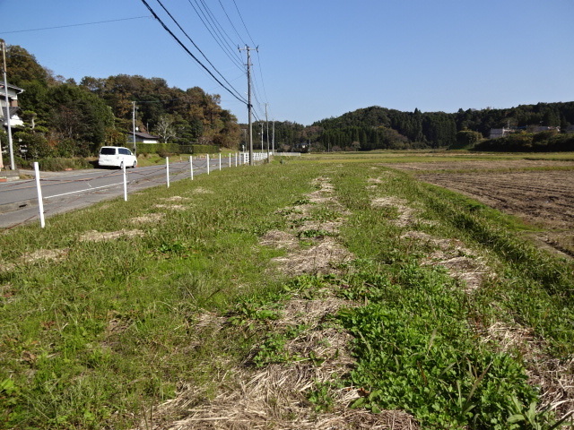 DSC01984.JPG