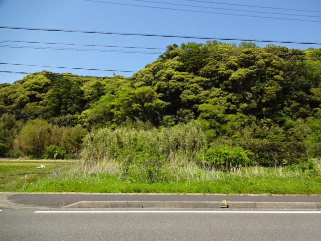 DSC06276.JPG