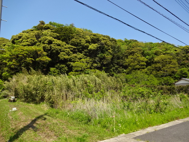DSC06277.JPG