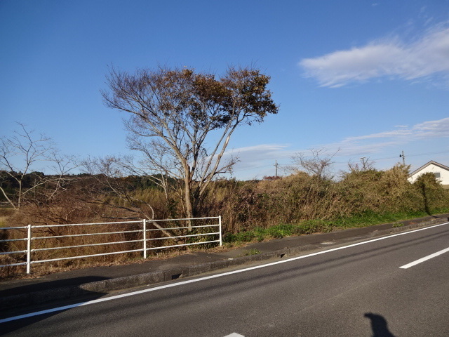 DSC02101.JPG