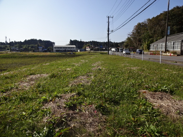 DSC01985.JPG