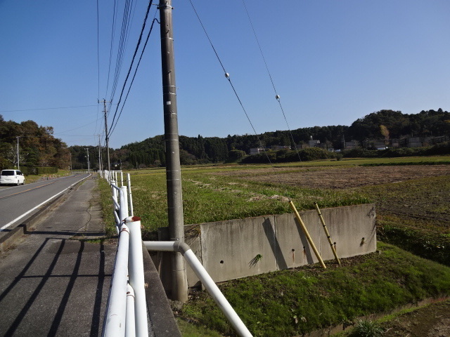DSC01983.JPG