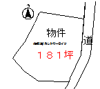 若山181坪200万地形.PNG