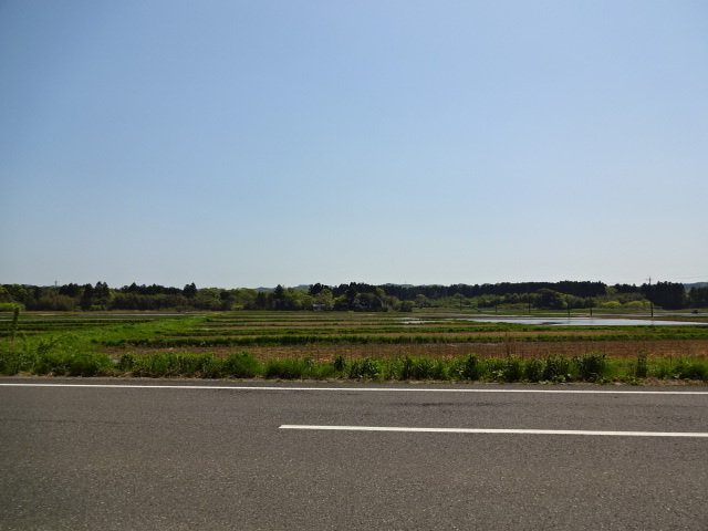 DSC06275.JPG