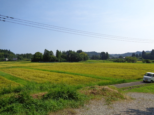 売地